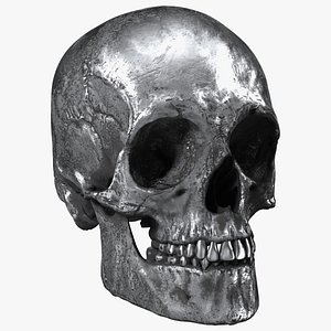 Male Skull Metal With Patina 3D