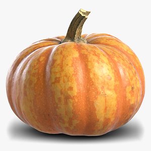 Pumpkin 5