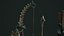 Undead bow and quiver