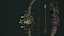 Undead bow and quiver