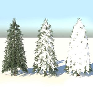 fraseri tree model