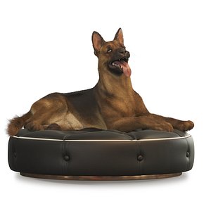 dog german shepherd 3D model