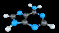 DNA - Adenine -Nucleobase
