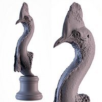 Cassowary