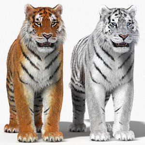 tiger fur color 3d 3ds