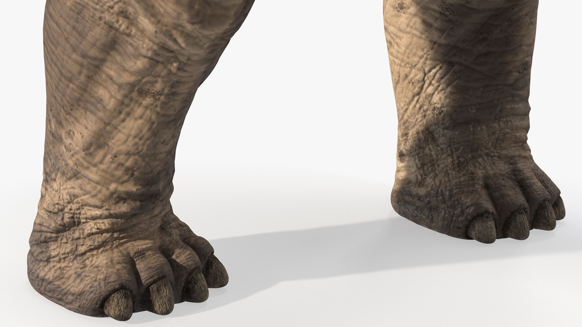 3D brachiosaurus altithorax rigged modo model https://p.turbosquid.com/ts-thumb/aK/J2YbVM/835qDER4/brachiosaurusaltithoraxrigged3dsmodel019/jpg/1600703870/1920x1080/fit_q87/067a4b908d25395760ed76a460dec08e59cff9bb/brachiosaurusaltithoraxrigged3dsmodel019.jpg