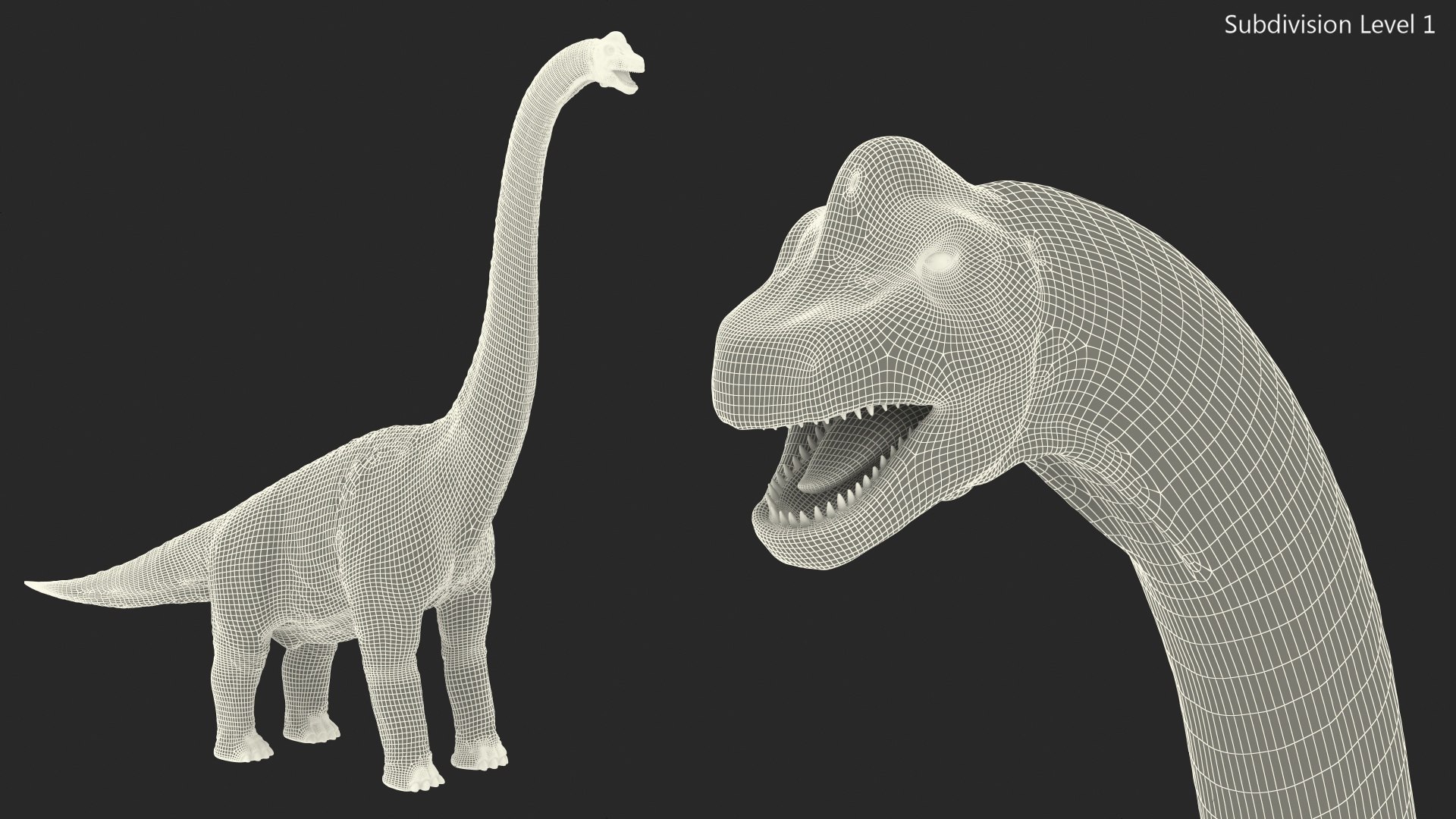 3D brachiosaurus altithorax rigged modo model https://p.turbosquid.com/ts-thumb/aK/J2YbVM/E0JZWjSh/brachiosaurusaltithoraxrigged3dsmodel024/jpg/1600703910/1920x1080/fit_q87/96a25b1858d8be1172f4f746e9aa196ac2b10163/brachiosaurusaltithoraxrigged3dsmodel024.jpg