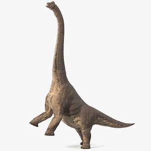 3D brachiosaurus altithorax rigged modo model