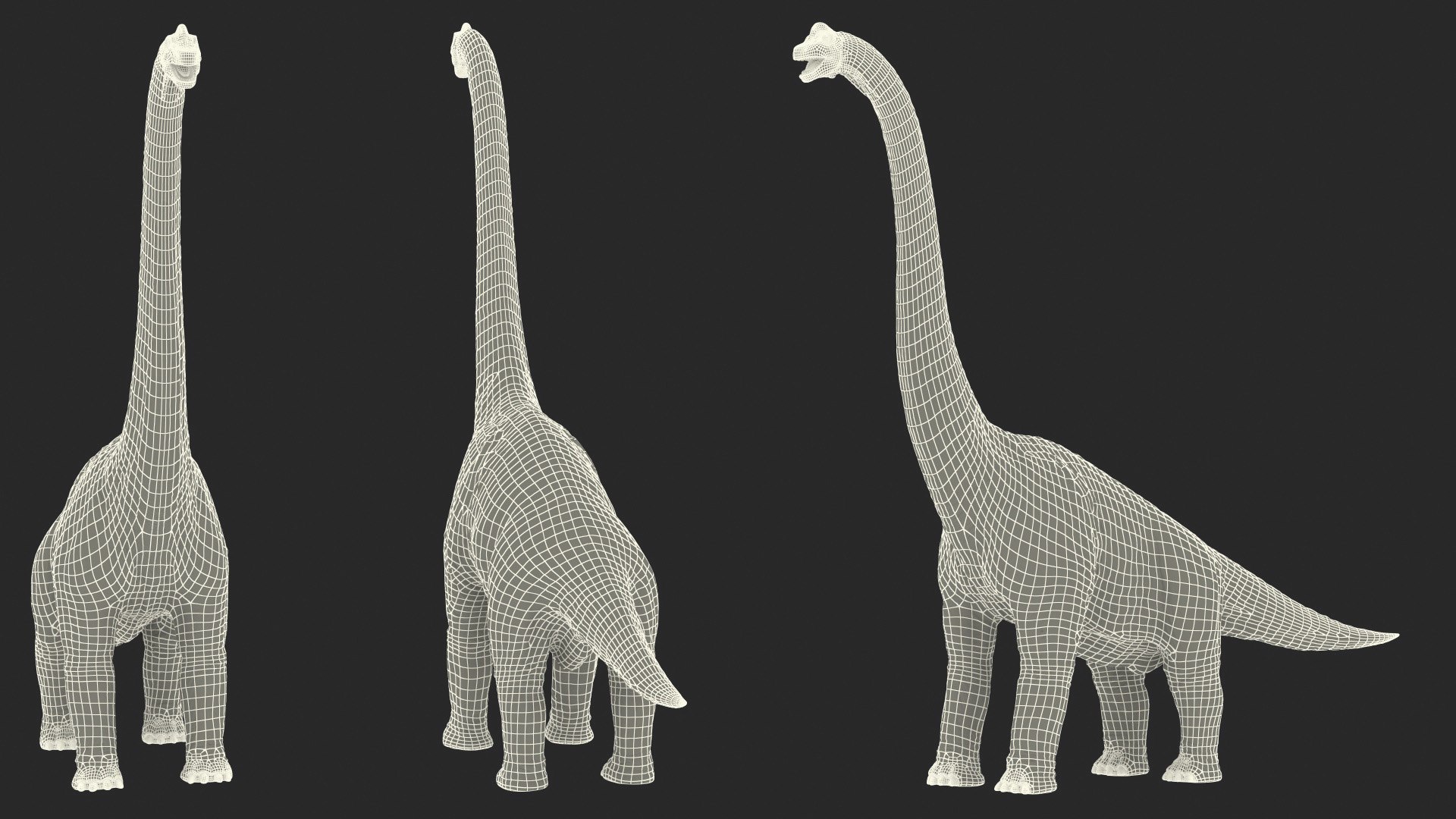 3D brachiosaurus altithorax rigged modo model https://p.turbosquid.com/ts-thumb/aK/J2YbVM/JClHKICJ/brachiosaurusaltithoraxrigged3dsmodel028/jpg/1600703942/1920x1080/fit_q87/79d8688dacfe21dcb3bdf09e7d6b081cf30f0f2b/brachiosaurusaltithoraxrigged3dsmodel028.jpg