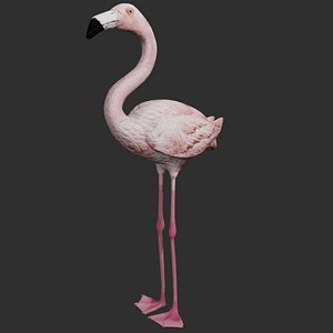 Pink Flamingo Bird Low Poly Game Ready