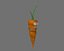 Evil Carrot