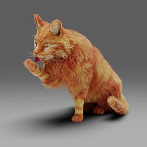 Fur Cat Yellow V3 Rigged and Animated