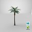 3D model Cartoon Palm Tree 04