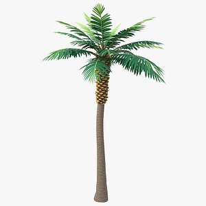 3D model Cartoon Palm Tree 04