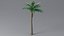 3D model Cartoon Palm Tree 04