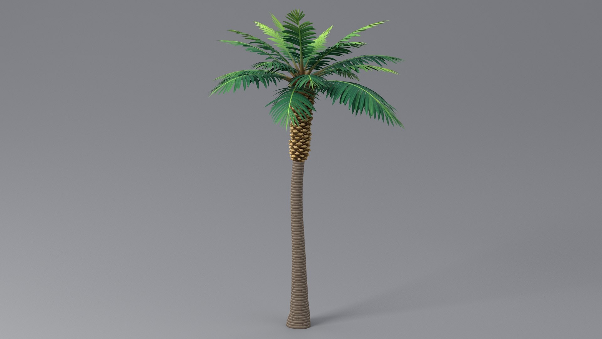 3D model Cartoon Palm Tree 04 https://p.turbosquid.com/ts-thumb/aK/WQBhpn/zf/palm_d_02/jpg/1660215096/1920x1080/fit_q87/f33e5df10f8d67180bdf28df09ba95cf72fae2c0/palm_d_02.jpg