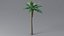 3D model Cartoon Palm Tree 04