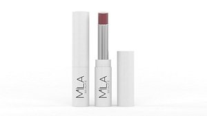Lipstick model