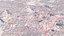 Città di Bengaluru