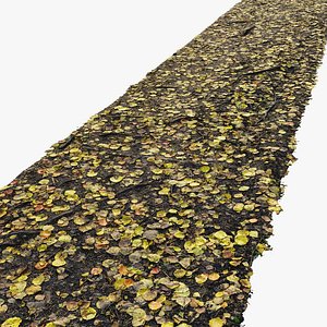 Forest autumn road N04 - 8 meters 3D