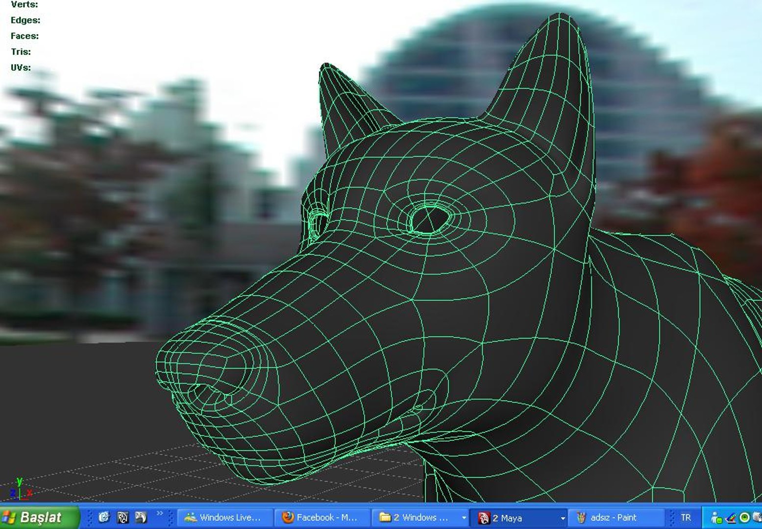 3ds max realistic wolf https://p.turbosquid.com/ts-thumb/aK/ogQgEX/gFzu9waC/wireframe1/jpg/1315426044/1920x1080/fit_q87/4fa9a3eb5f58ff43acf6a2b95a46f758483a12f2/wireframe1.jpg