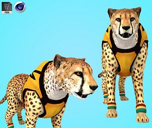 cheetah model