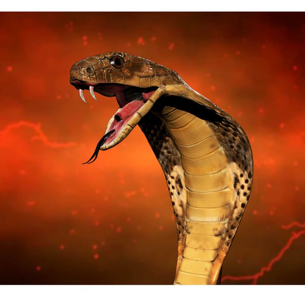 realistic king cobra snake obj