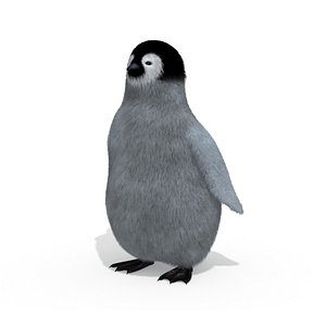 3D Baby Emperor Penguin Chick Bird Animal
