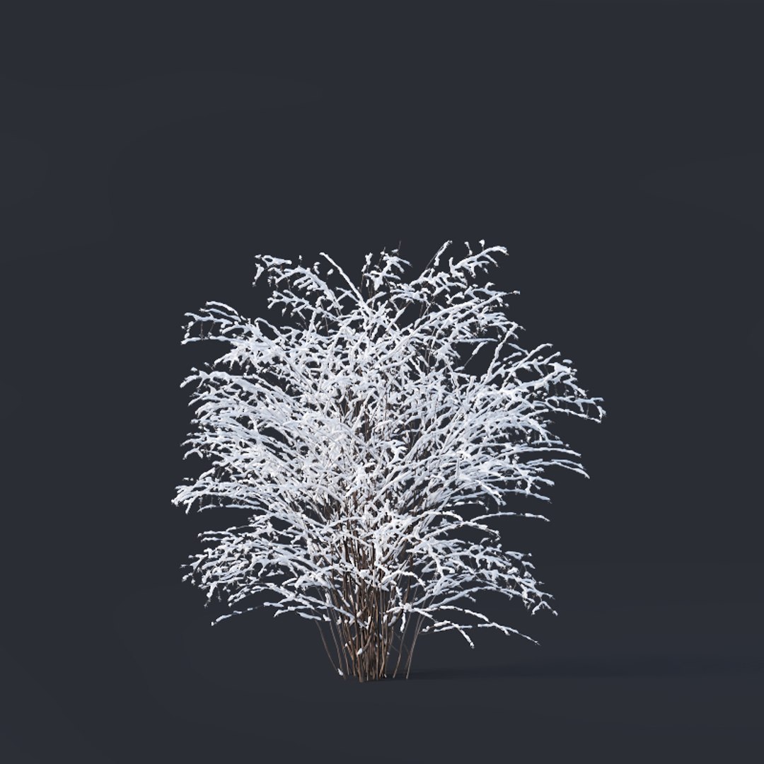 3D model bushes https://p.turbosquid.com/ts-thumb/aL/A2aosl/Ijd5KwoJ/philadelphuscoronariuswinter6/jpg/1544362182/1920x1080/fit_q87/ac0b1312ac386c198010a69a1db342beb396b98d/philadelphuscoronariuswinter6.jpg