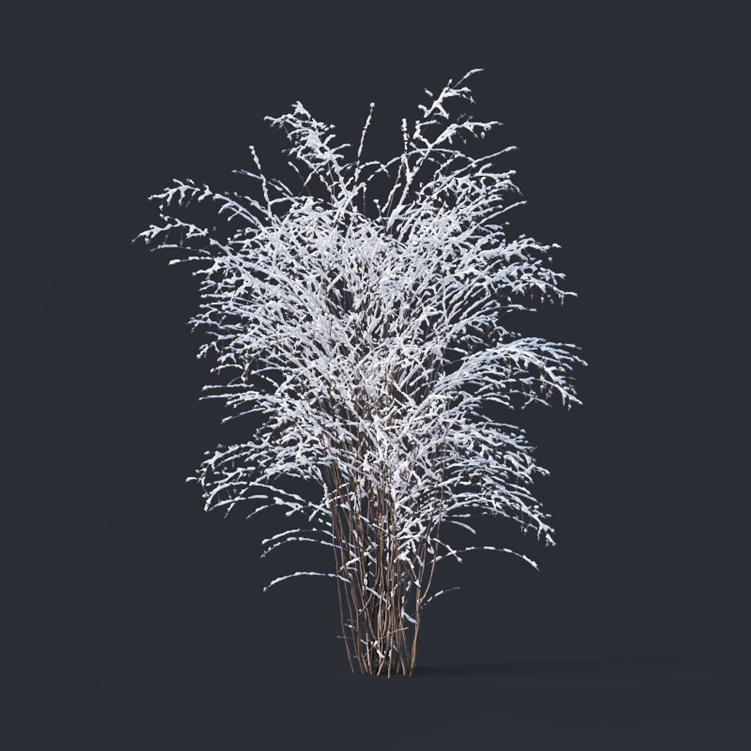 3D model bushes https://p.turbosquid.com/ts-thumb/aL/A2aosl/LwA8FVyk/philadelphuscoronariuswinter7/jpg/1544362182/1920x1080/fit_q87/2210ca9594fdc8e353fc0baa8cad733e38e7d25b/philadelphuscoronariuswinter7.jpg