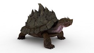 Turtle