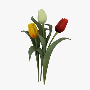 tulips flower 3d model