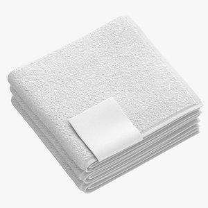 3D Folded Bath Towels Small 3 Pile White Blue and Gray model