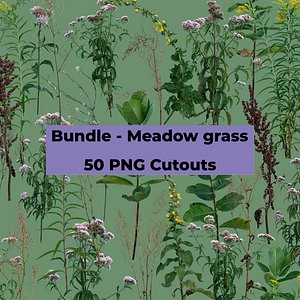 PNG Photo Pack- Meadow grass