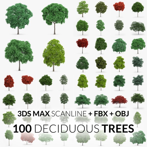 100 trees - scanline obj