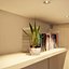 snake plant 3D model