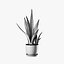 snake plant 3D model