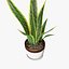snake plant 3D model