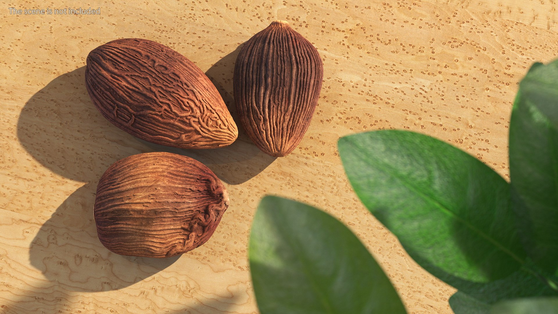 3D model Spices Collection https://p.turbosquid.com/ts-thumb/aL/hDJdQk/CP/spicescollectionmb3dmodel004/jpg/1657236542/1920x1080/fit_q87/e6d0c90f250dcab55083f23b575ea51598e6cf5c/spicescollectionmb3dmodel004.jpg