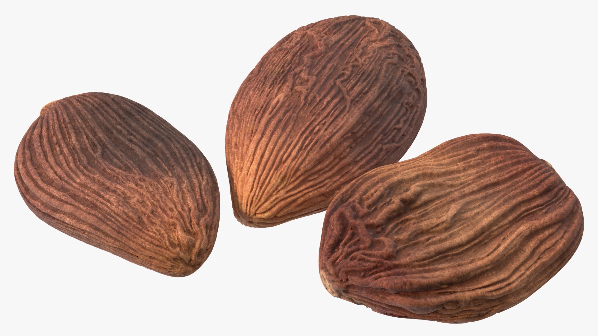 3D model Spices Collection https://p.turbosquid.com/ts-thumb/aL/hDJdQk/Vz/spicescollectionmb3dmodel009/jpg/1657236556/1920x1080/fit_q87/8de70e2aaed2427fed91805a716027c6b6cc5662/spicescollectionmb3dmodel009.jpg