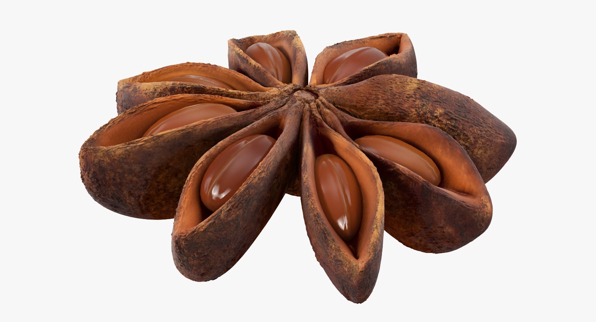 3D model Spices Collection https://p.turbosquid.com/ts-thumb/aL/hDJdQk/wP/spicescollectionmb3dmodel022/jpg/1657236597/1920x1080/fit_q87/ed1dd0875c90151390b99dc91955ba8bfa33c549/spicescollectionmb3dmodel022.jpg