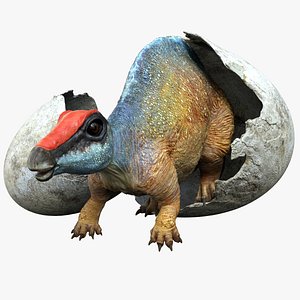 realistic rig 3D