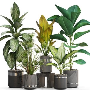3D model Plants collection 719