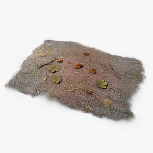 pile leaves branches 3d 3ds