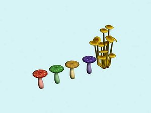 fungus