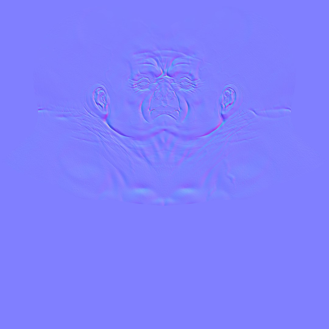 Head Unwrapped Normal 3d Model