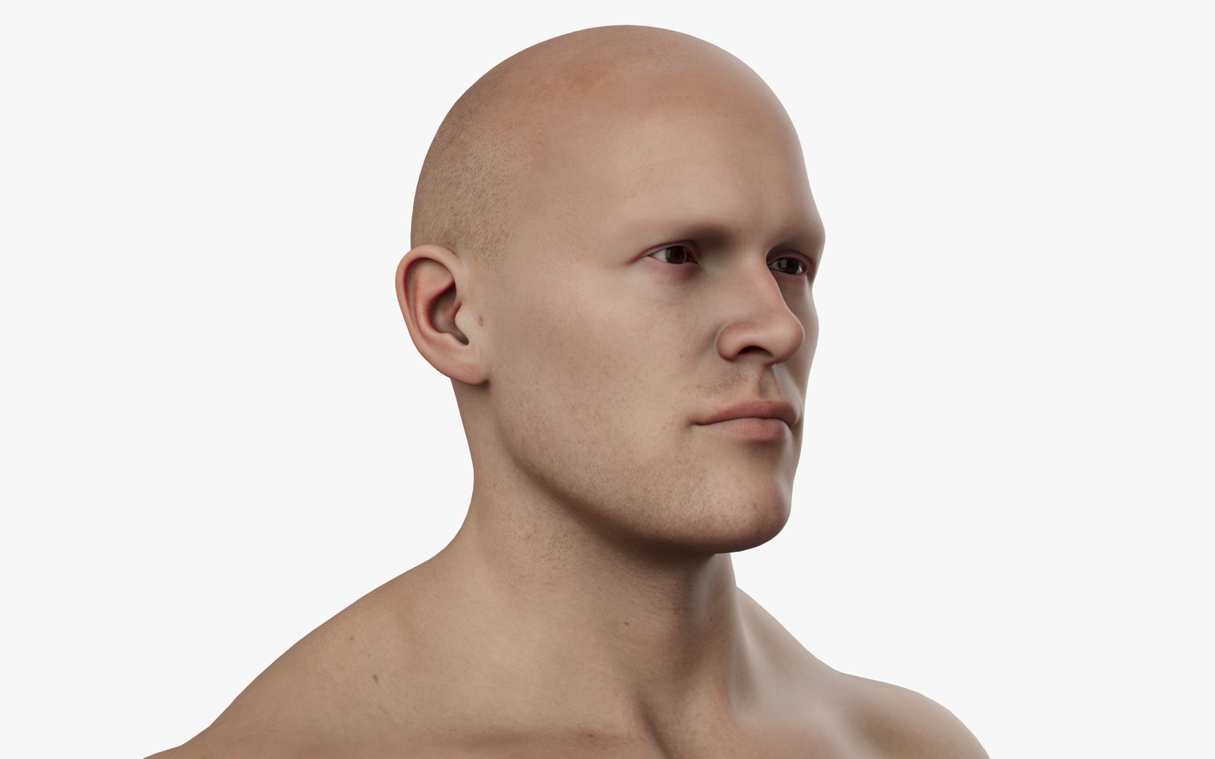 CUSTOM METAHUMAN MALE CHARACTER - UNREAL 5 METAHUMAN TOPOLOGY - ALEMBIC HAIR model https://p.turbosquid.com/ts-thumb/aM/TWZqGv/rb/photo07/png/1746760988/1920x1080/fit_q87/fbb89065c31a655a46896491e2cd4b1e8a535c22/photo07.jpg