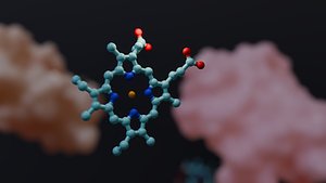 Alpha HemoglobinHighPoly 3D model