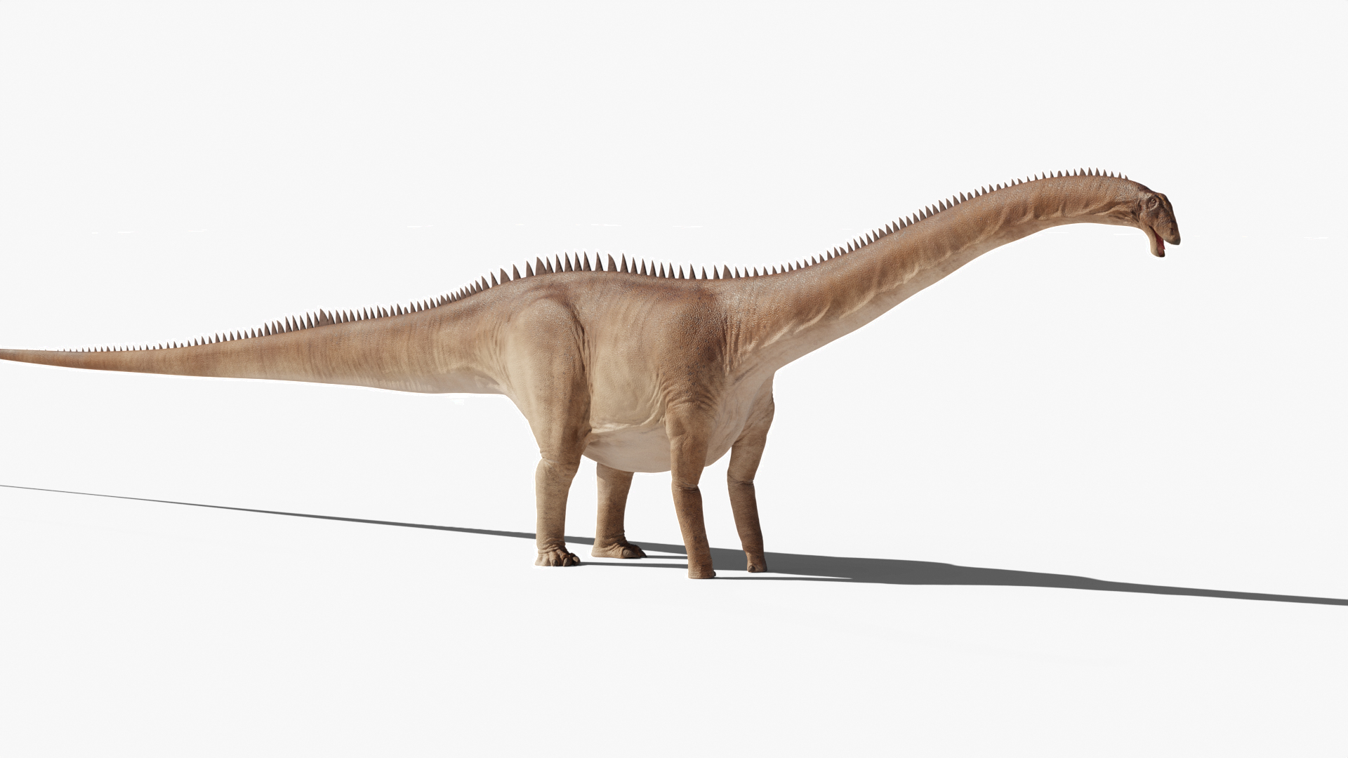 Diplodocus 3D Dinosaur