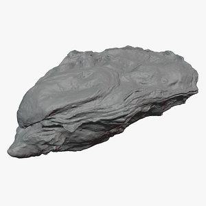 3D model Oyster 03 for 3D Print